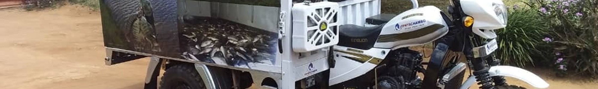 The three-wheeled vehicle was repurposed to enable deliveries of fish to areas outside the central market.